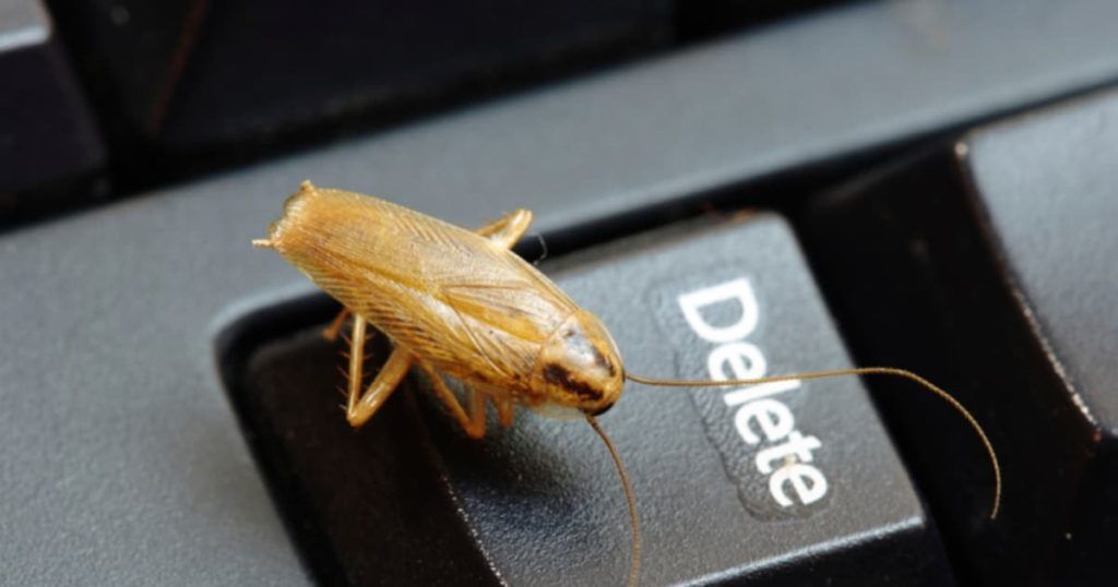 Уничтожение тараканов в офисе в Орле